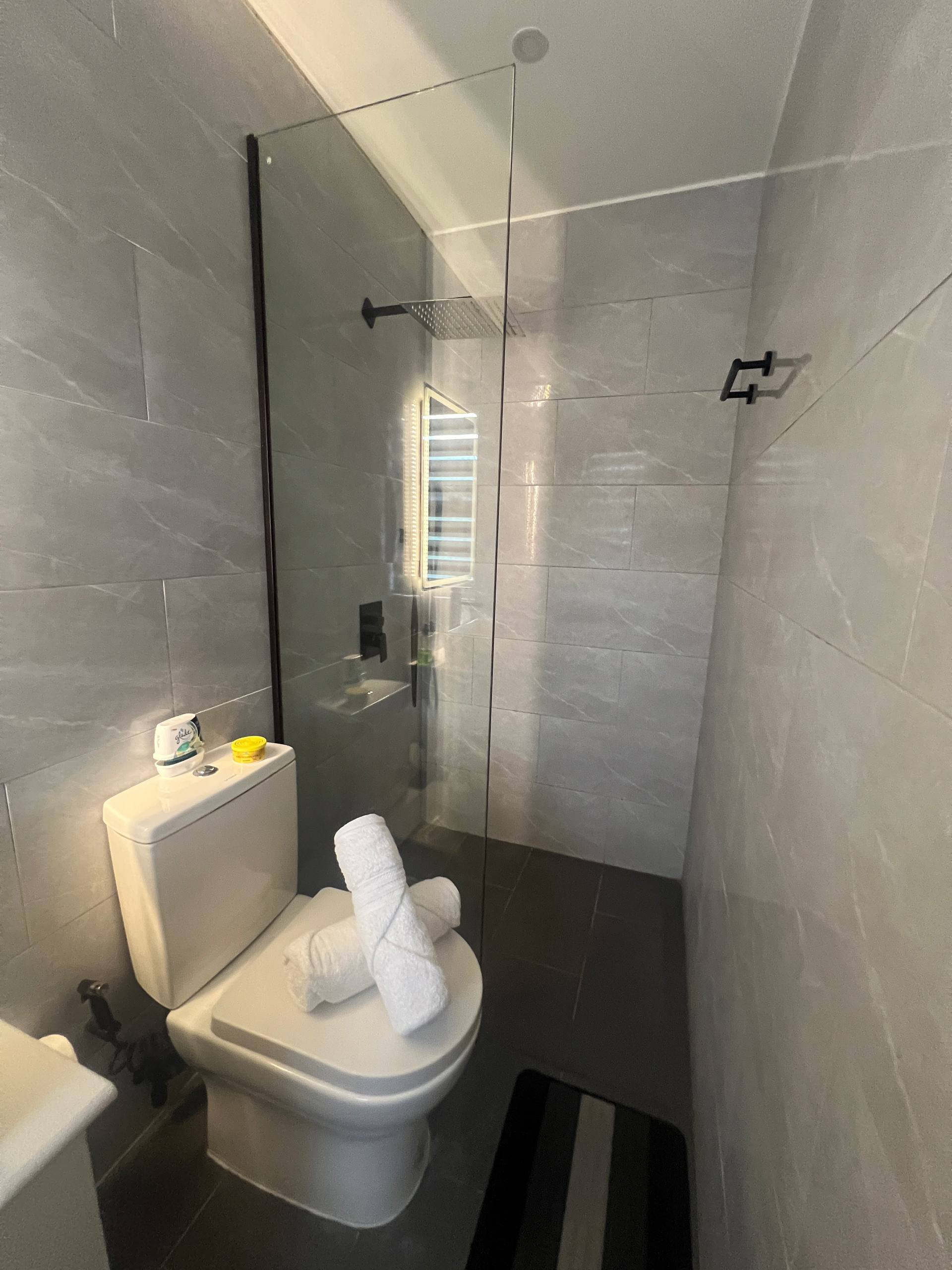 En-suite shower enclosure and toilet with towels